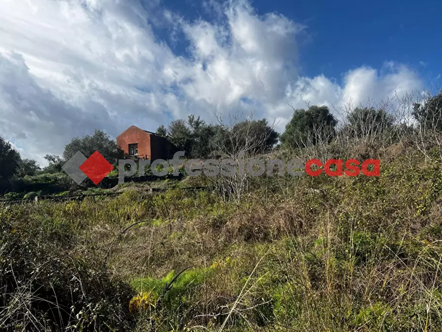 Immagine 8 di Terreno agricolo in vendita  in Via Mediterraneo, 2 a Mascalucia