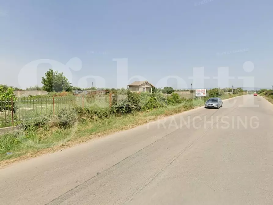 Immagine 1 di Terreno agricolo in vendita  in Strada provinciale 30, 0 a Torremaggiore