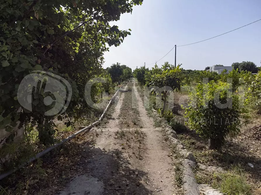 Immagine 3 di Terreno residenziale in vendita  in Contrada calabernardo/palma, snc a Avola