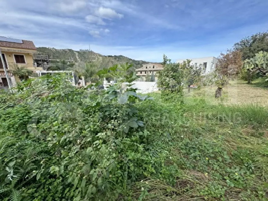 Immagine 4 di Terreno residenziale in vendita  in Contrada sant'antonio, snc a Saponara