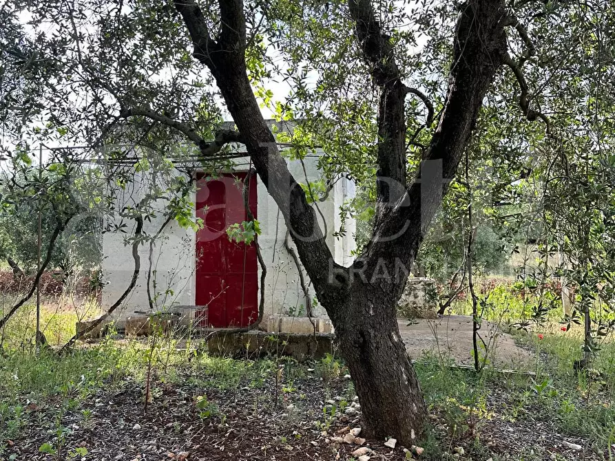 Immagine 1 di Terreno agricolo in vendita  in Contrada Impiccato, sn a Ostuni