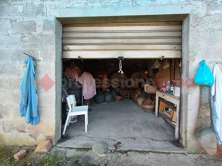 Immagine 9 di Terreno agricolo in vendita  in Via vallone a Castelfiorentino