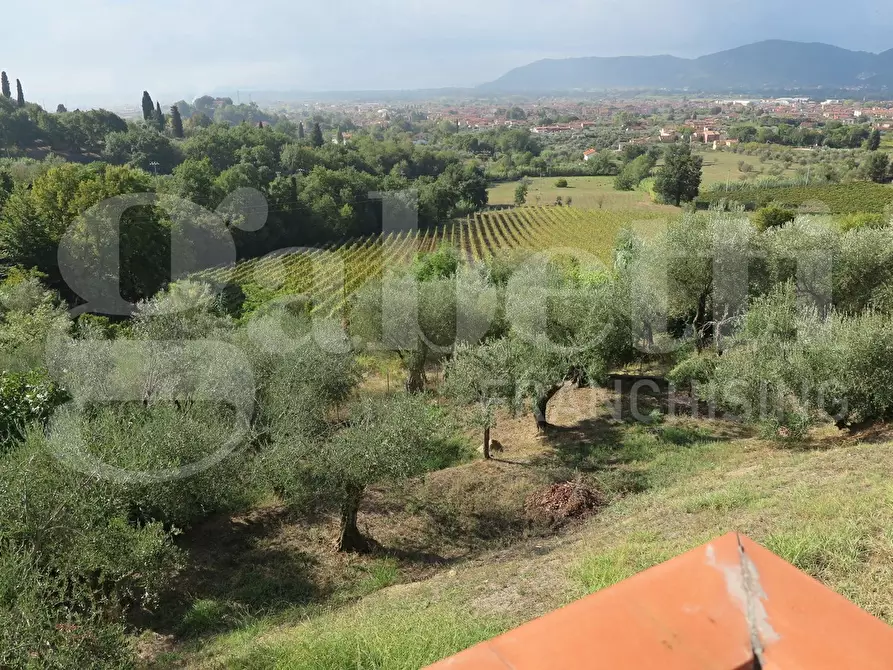 Immagine 12 di Villa in vendita  in Via montecchio, 3 a Castelnuovo Magra