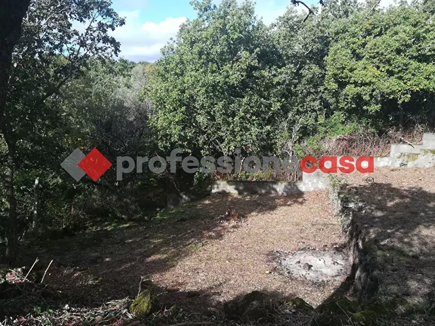 Immagine 7 di Terreno agricolo in vendita  in Contrada Scorsone, SNC a Belpasso