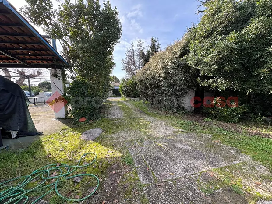 Immagine 36 di Bar / Ristorante in vendita  in Via Punta Fiume, snc a Sessa Aurunca