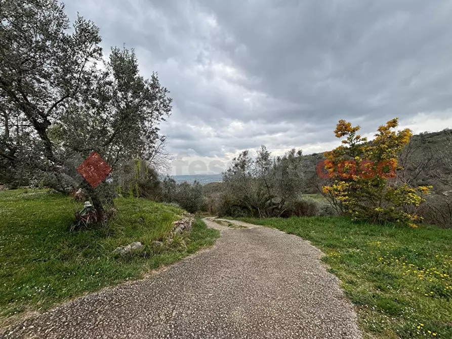 Immagine 14 di Casa indipendente in vendita  in Via Romagnano Fontana Valle, 7 a Anagni