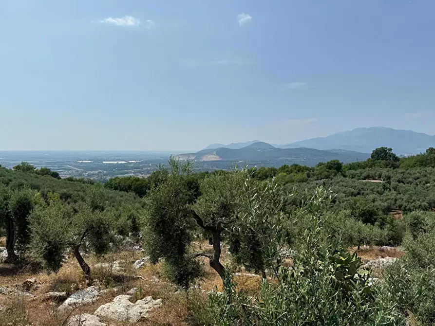 Immagine 14 di Villa in vendita  in Via Carbonara, 11 a Sonnino