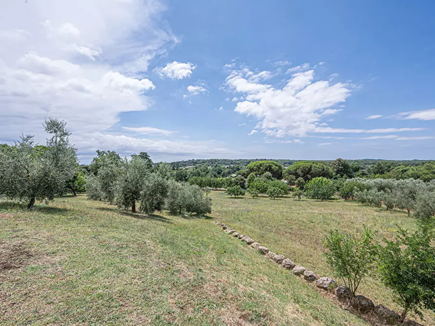 Immagine 27 di Villa in vendita  in Via Canale, 64 a Manziana