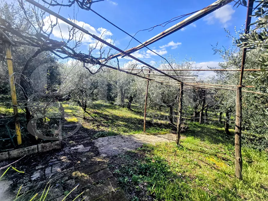 Immagine 14 di Rustico / casale in vendita  in Via Fonte del Colle, snc a Artena