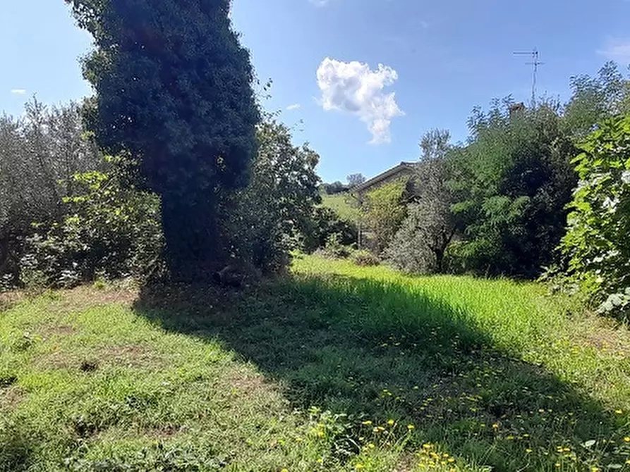 Immagine 6 di Villa in vendita  in Via CANALE, 86 a Manziana