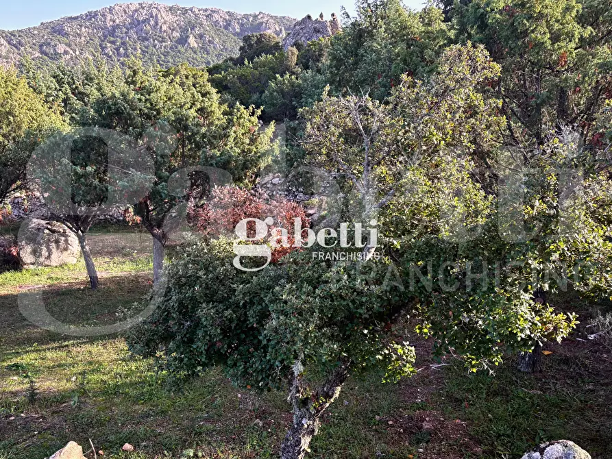 Immagine 6 di Magazzino in vendita  in LocalitÃ  Sas Enas, 2 a Padru