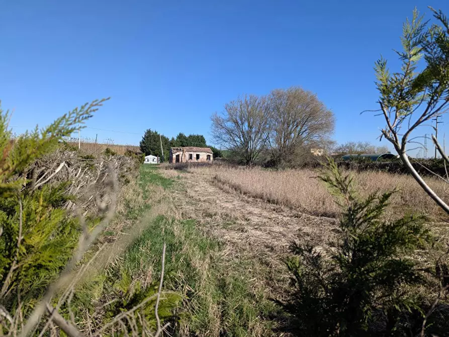 Immagine 8 di Rustico / casale in vendita  in LocalitÃ  Valcerere Dolfina, 00 a Cavarzere