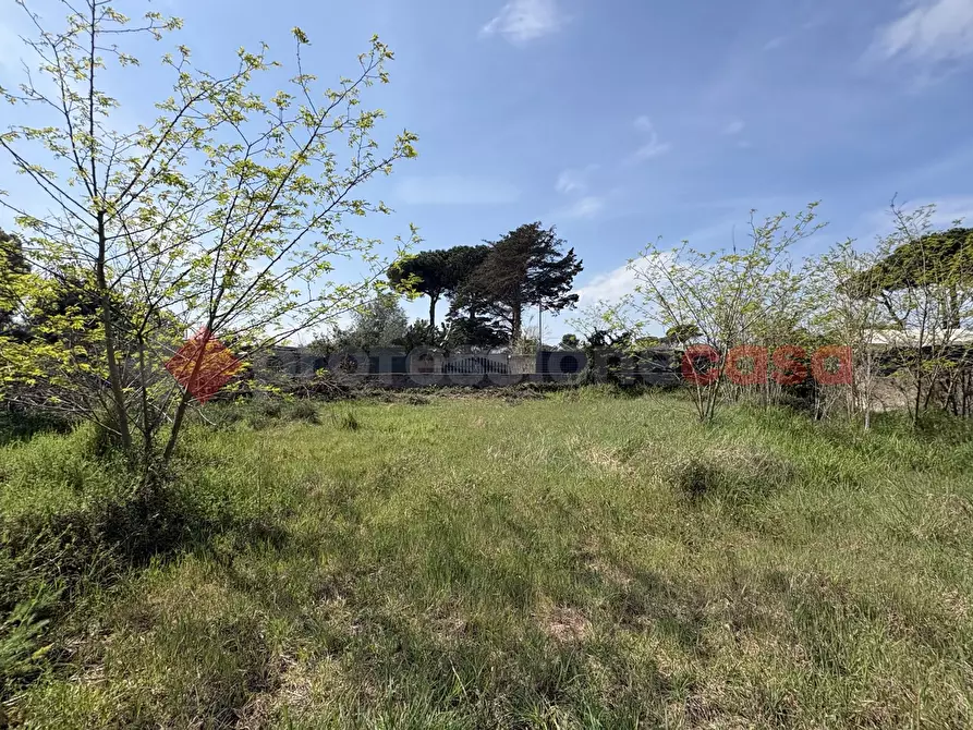Immagine 7 di Terreno agricolo in vendita  in Via SAN FELICE CIRCEO TRAVERSA 23, 23 a Terracina