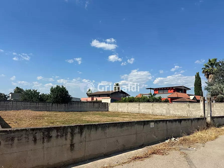 Immagine 11 di Terreno agricolo in vendita  in Via San Cuono, 43 a Acerra