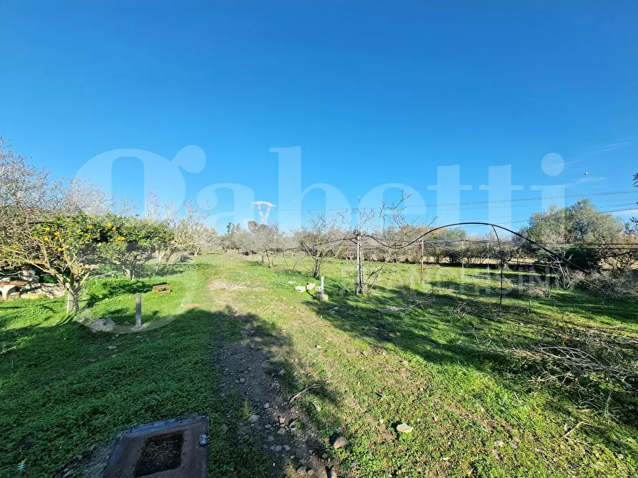 Immagine 5 di Terreno agricolo in vendita  in Via dessi, snc a Sestu