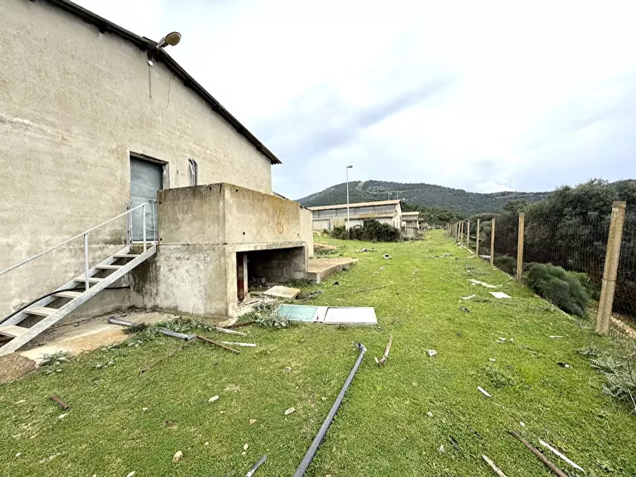 Immagine 6 di Capannone industriale in vendita  in Strada COMUNALE DE ORBAI, SNC a Dolianova
