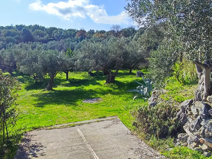 Immagine 41 di Villa in vendita  in LocalitÃ  MORTILLA, SNC a Magisano
