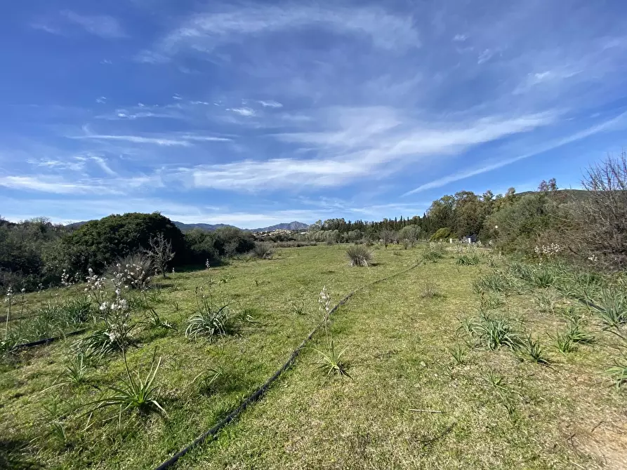 Immagine 4 di Terreno agricolo in vendita  in LocalitÃ  BirgalavÃ² strada provinciale, 0 a Budoni