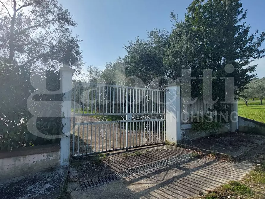 Immagine 29 di Casa indipendente in vendita  in Contrada Casette, 51 a Ancarano