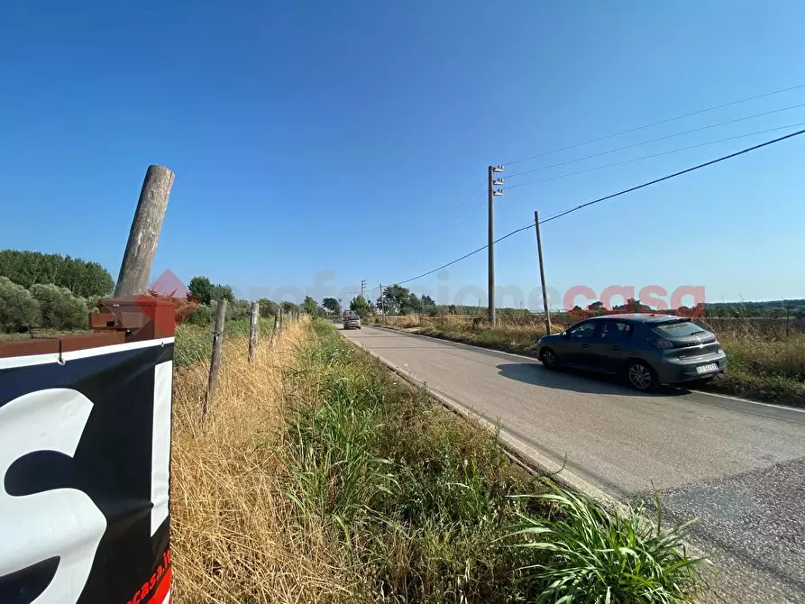 Immagine 26 di Terreno agricolo in vendita  in LocalitÃ  Starzella, SNC a Falciano Del Massico
