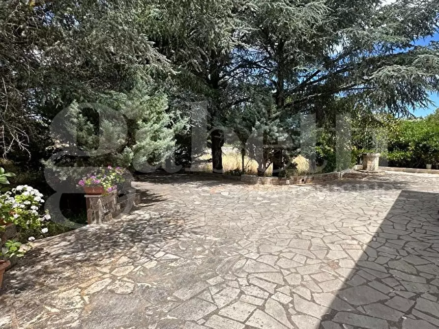 Immagine 6 di Villa in vendita  in Contrada San Benedetto, sn a Ostuni