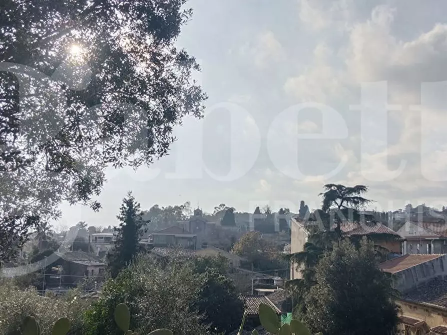 Immagine 15 di Terreno residenziale in vendita  in Via Regalotto, 12 a Pedara