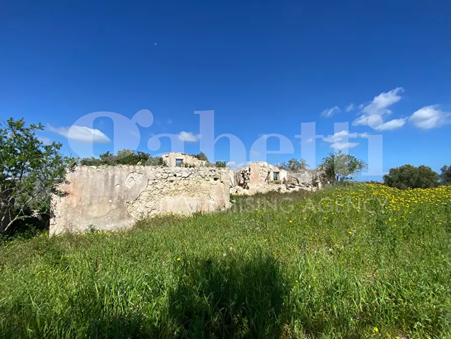 Immagine 10 di Terreno agricolo in vendita  in Strada provinciale, 56 a Noto