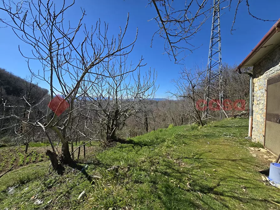 Immagine 9 di Terreno agricolo in vendita  in Via del Cerenaro, snc a Rieti