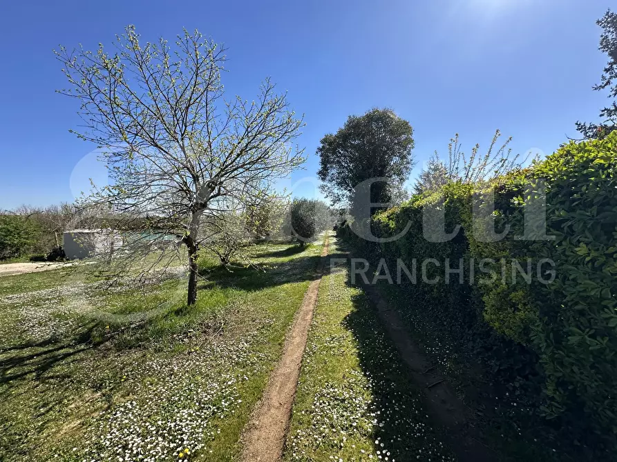 Immagine 26 di Villa in vendita  in Via FONTE CAPOCCIA, 00 a Bassano Romano