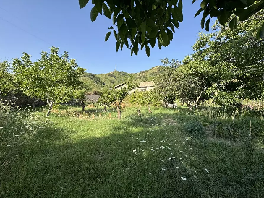 Immagine 4 di Terreno agricolo in vendita  in Strada comunale, snc a Rometta