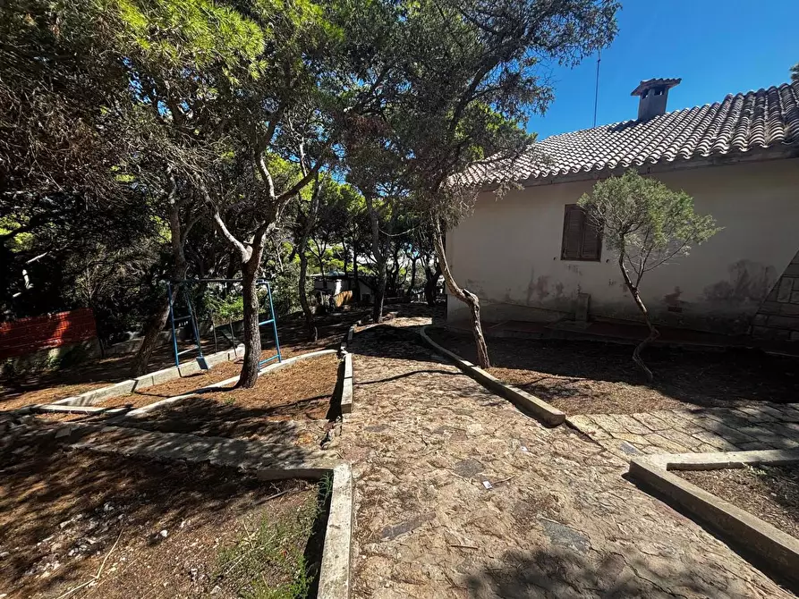 Immagine 5 di Villa in vendita  in LocalitÃ  Porto Pino, snc a Sant'anna Arresi