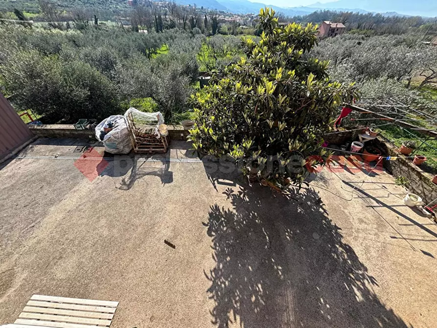 Immagine 15 di Casa indipendente in vendita  in Contrada torretta, 52 a Piglio