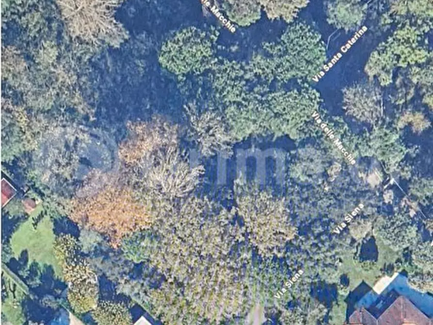 Immagine 3 di Terreno agricolo in vendita  in Via MACCHIE, 1 a Massa