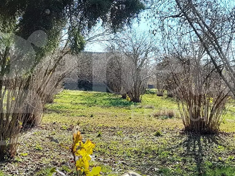 Immagine 21 di Rustico / casale in vendita  in Via DEL CONDOTTINO, 00 a Manziana