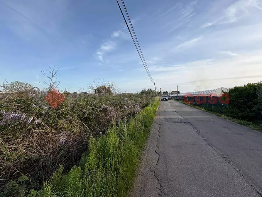 Immagine 8 di Terreno agricolo in vendita  in Via CHIANCHIARELLE, 14 a Fondi