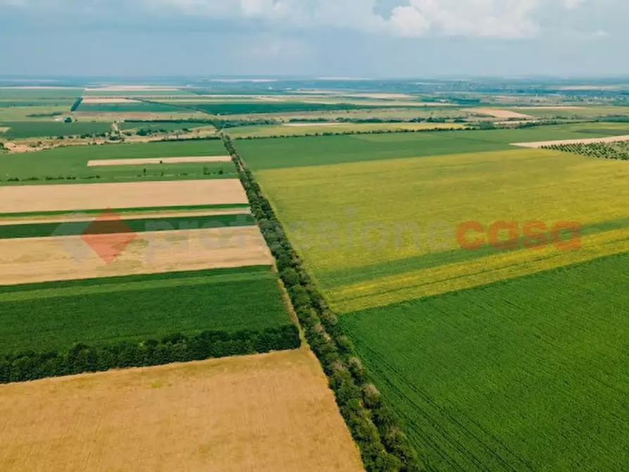 Immagine 9 di Terreno residenziale in vendita  in LocalitÃ  Paduni, snc a Anagni