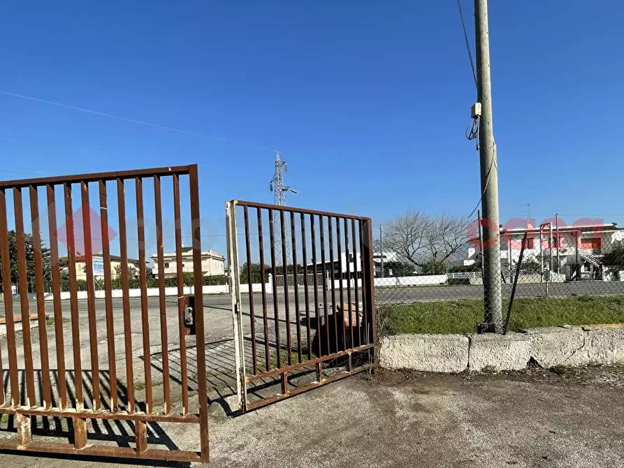 Immagine 10 di Terreno agricolo in vendita  in Via PONTINA, KM101,600 a Terracina