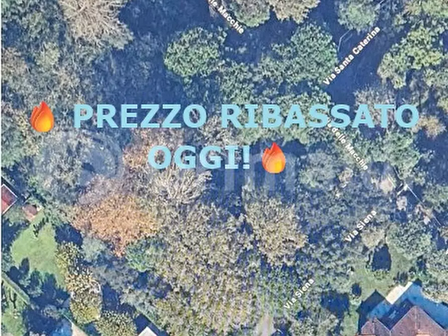 Immagine 1 di Terreno agricolo in vendita  in Via MACCHIE, 1 a Massa