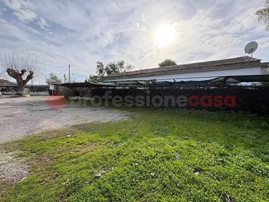 Immagine 41 di Bar / Ristorante in vendita  in Via Punta Fiume, snc a Sessa Aurunca