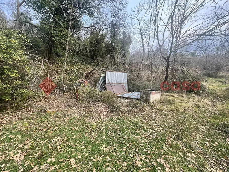Immagine 9 di Terreno agricolo in vendita  in LocalitÃ  Rubbiano a Spoleto