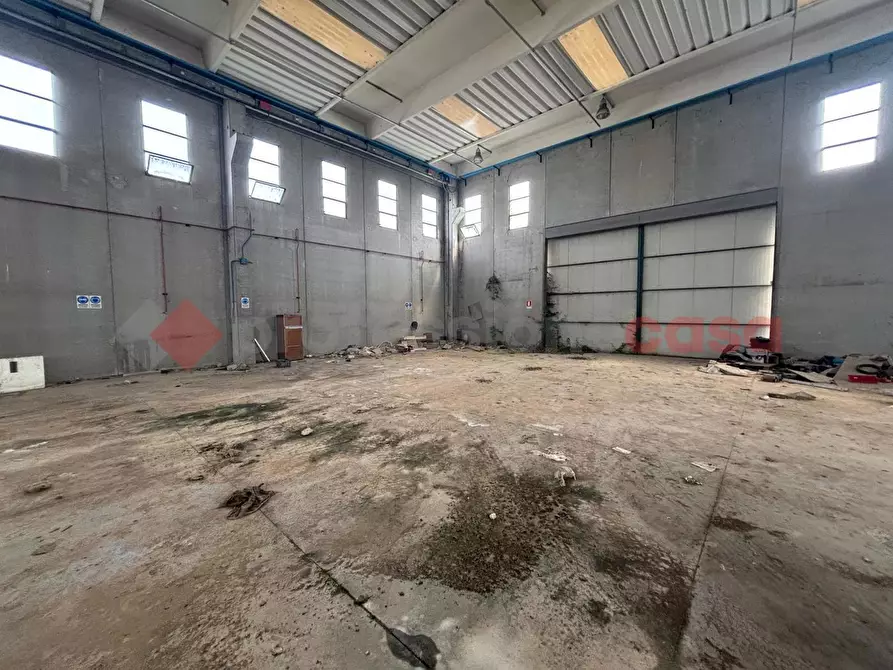 Immagine 4 di Capannone industriale in vendita  in Strada Provinciale 11 Morolense, snc a Patrica