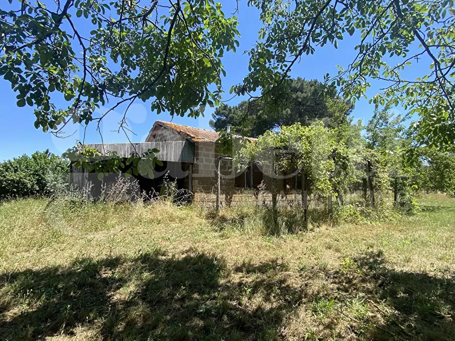 Immagine 1 di Rustico / casale in vendita  in Via DEL CONDOTTINO, 00 a Manziana