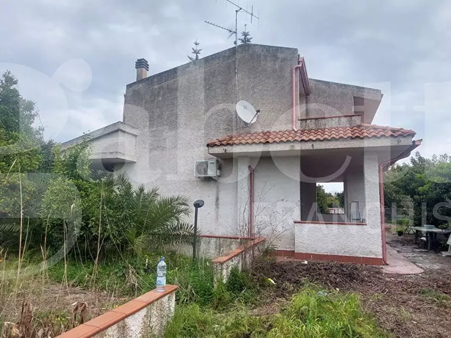 Immagine 23 di Villetta a schiera in vendita  in Via DELLE MIMOSE, 32 a Sellia Marina