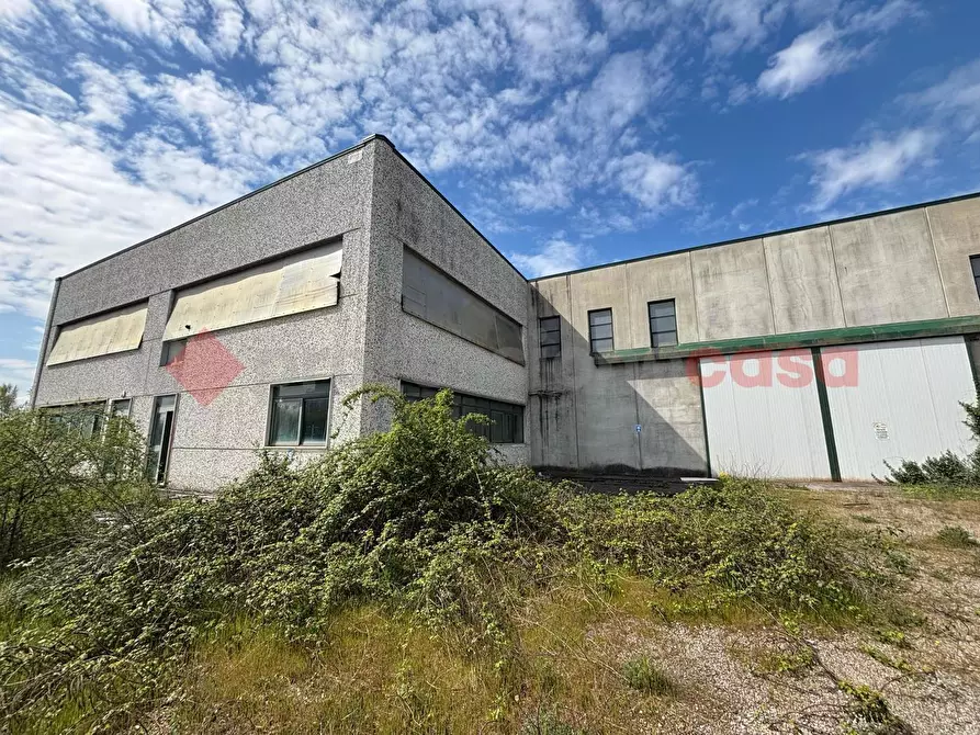 Immagine 1 di Capannone industriale in vendita  in Strada Provinciale 11 Morolense, snc a Patrica
