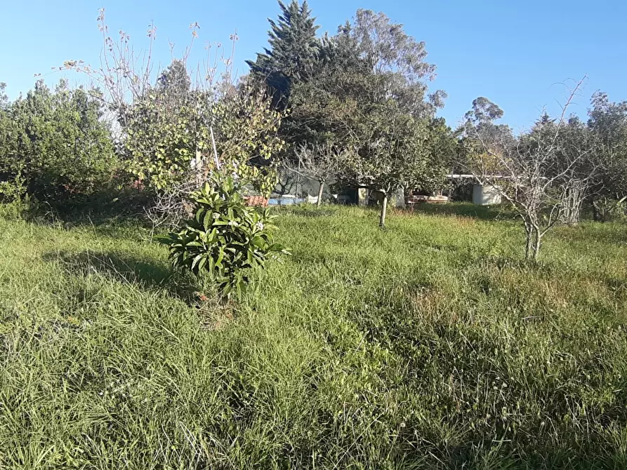 Immagine 1 di Terreno agricolo in vendita  in Via delle Gore, 73 a Livorno