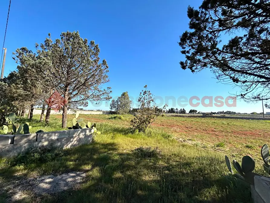 Immagine 8 di Terreno residenziale in vendita  in Via Prov.le Poggiardo-Spongano a Poggiardo