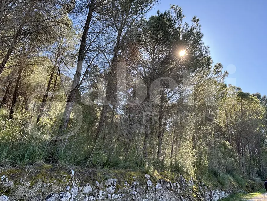 Immagine 18 di Rustico / casale in vendita  in Contrada Petraro, snc a Chiaramonte Gulfi