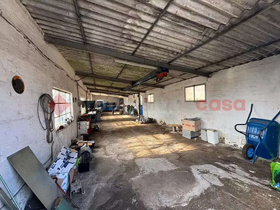 Immagine 4 di Capannone industriale in affitto  in Via Capannaccio, 1 a Anagni