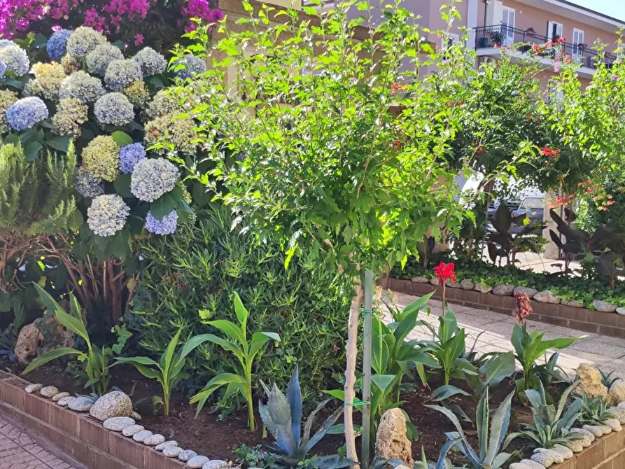 Immagine 41 di Appartamento in vendita  in Via DELLE ROSE, 4 a Girifalco