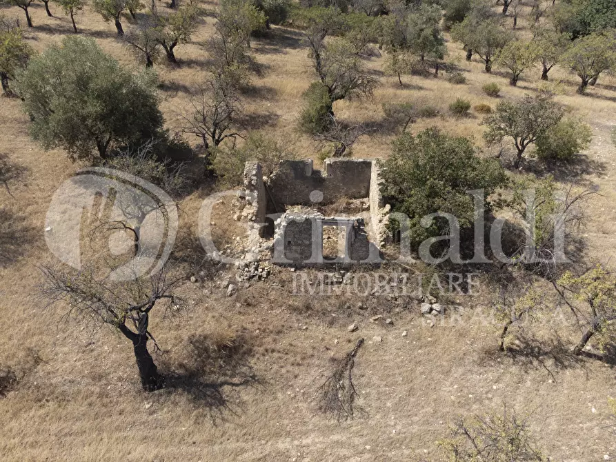 Immagine 2 di Terreno agricolo in vendita  in Via SS115, 1 a Noto